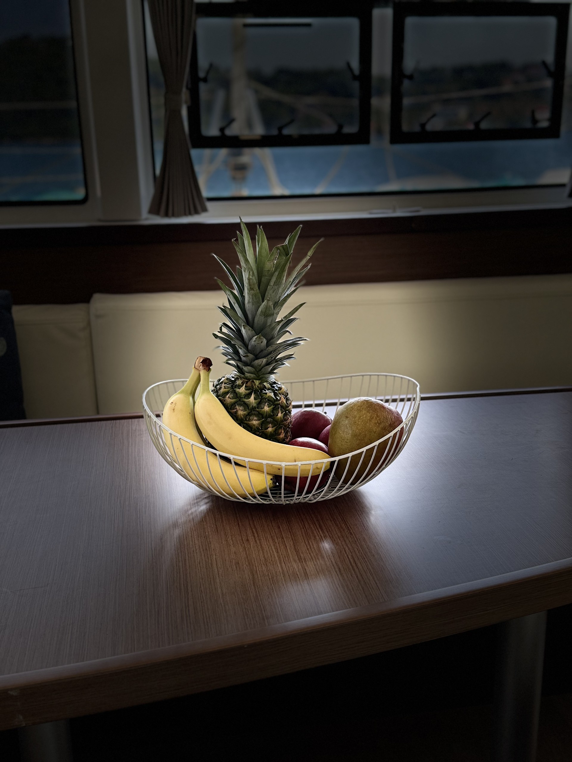 ORSA Catamaran sailing action